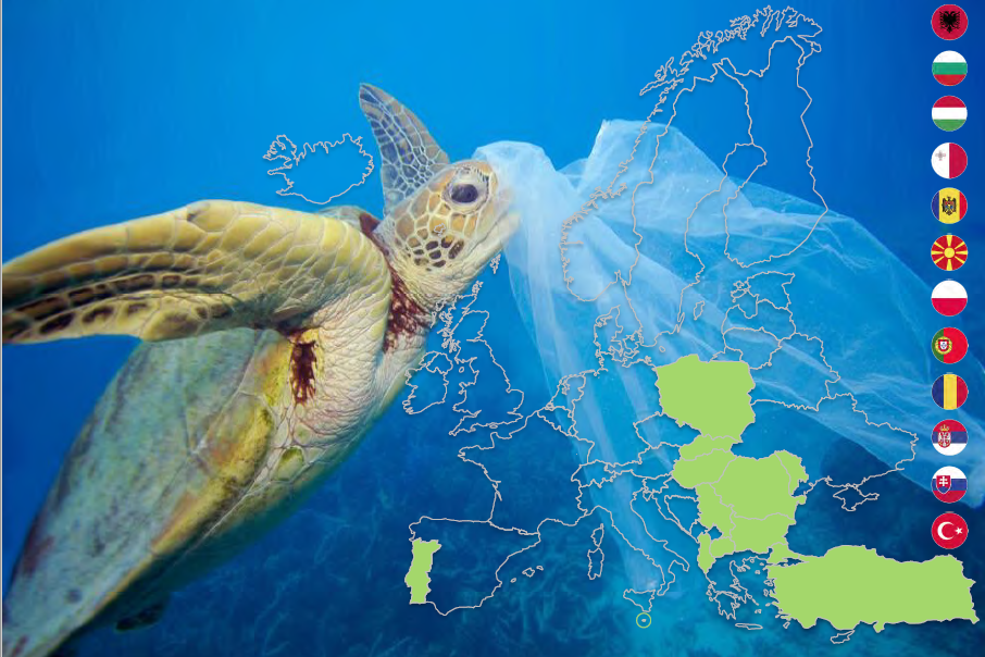 Original photo by: Troy Mayne/WWF, What do sea turtles eat? Unfortunately, plastic bags
