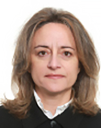 Auditor-Chefe do DA V